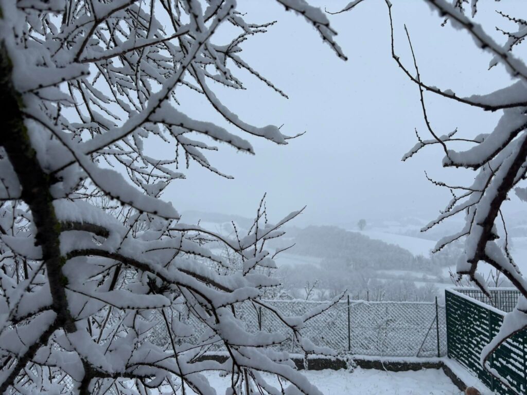 neve marche