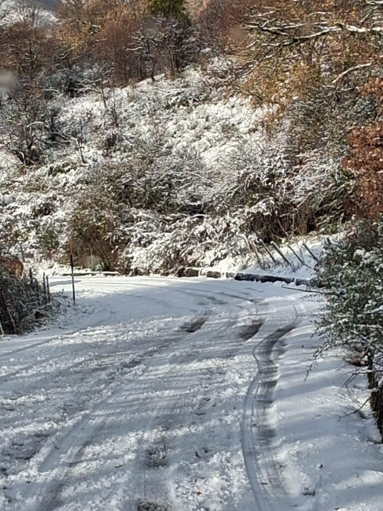 neve nebrodi sicilia