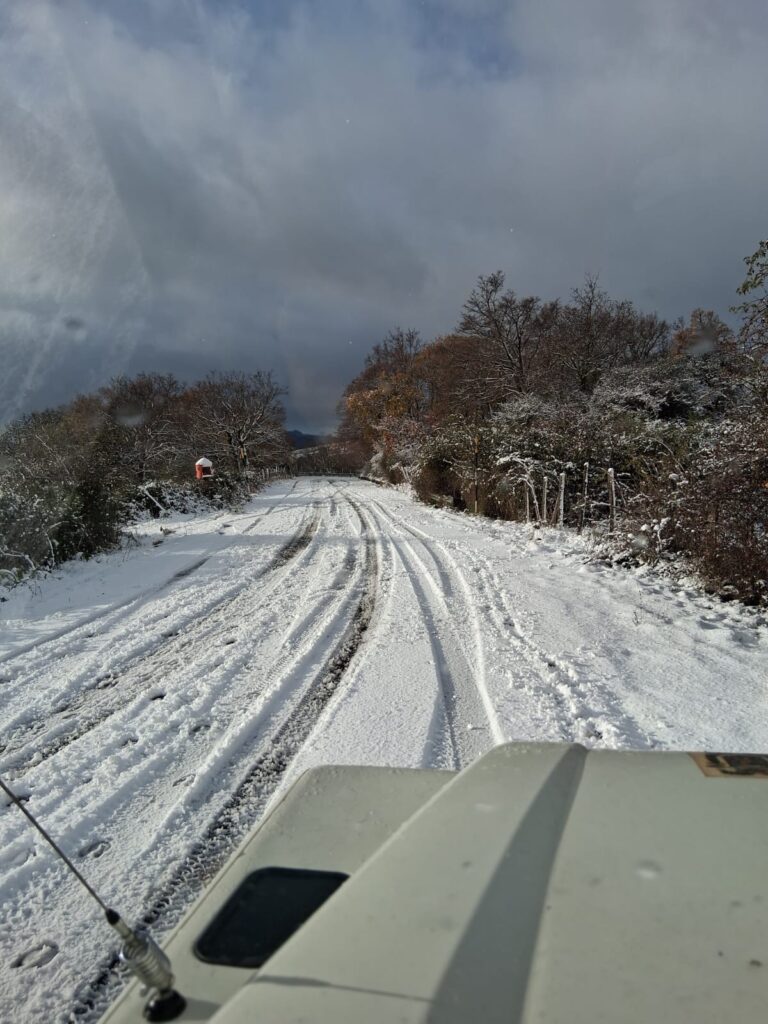 neve nebrodi sicilia