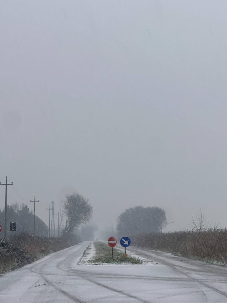 neve oggi emilia romagna