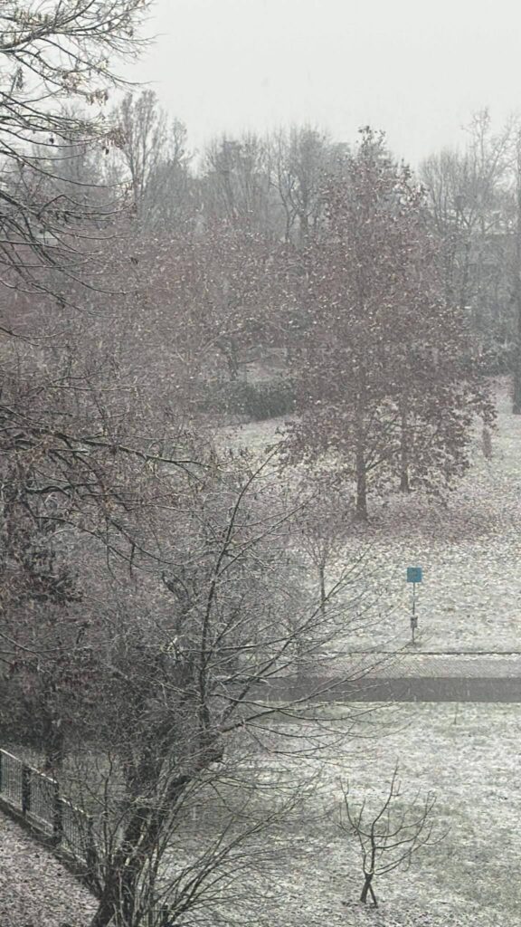 neve oggi emilia romagna