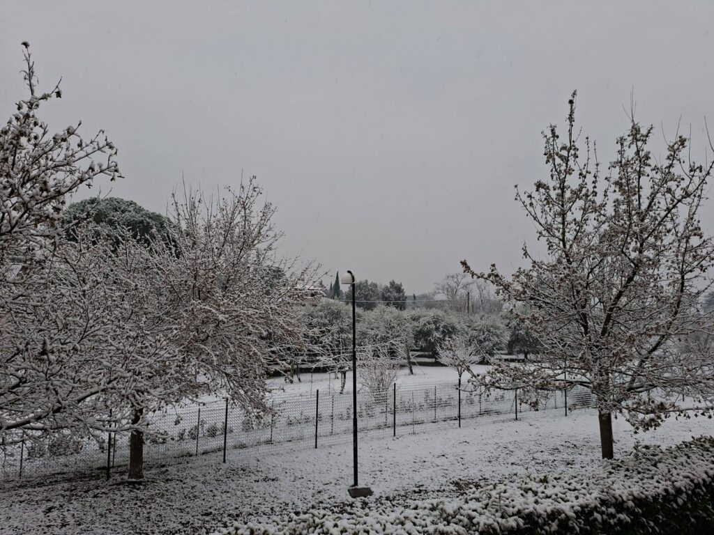neve oggi emilia romagna
