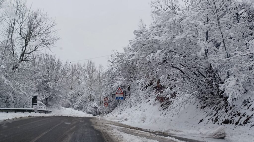 neve oggi savonese
