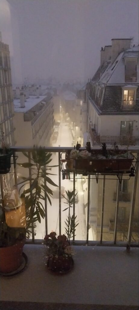 neve parigi oggi