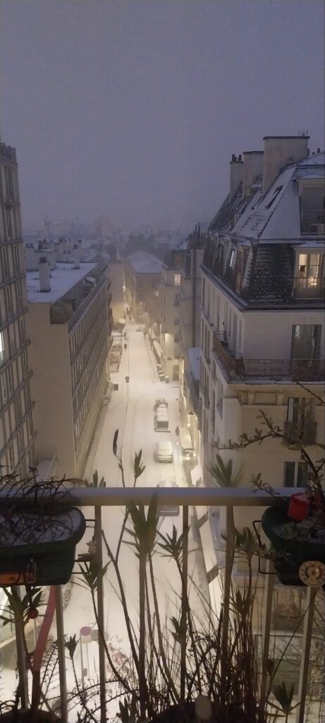 neve parigi oggi