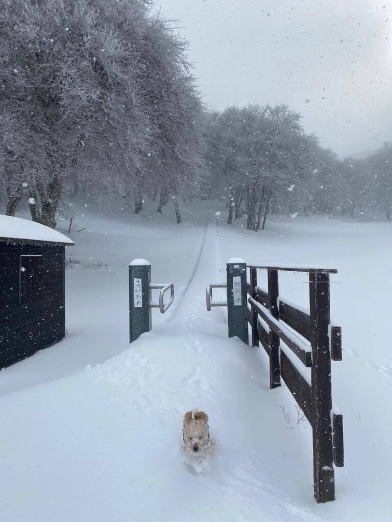 neve piano battaglia sicilia