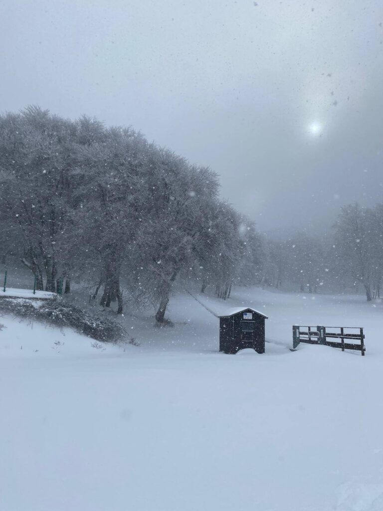 neve piano battaglia sicilia