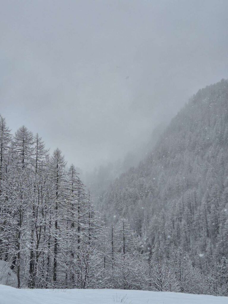 neve piemonte