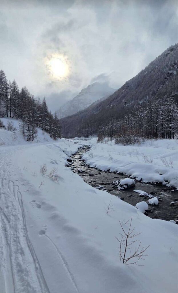 neve piemonte 25 gennaio 2026