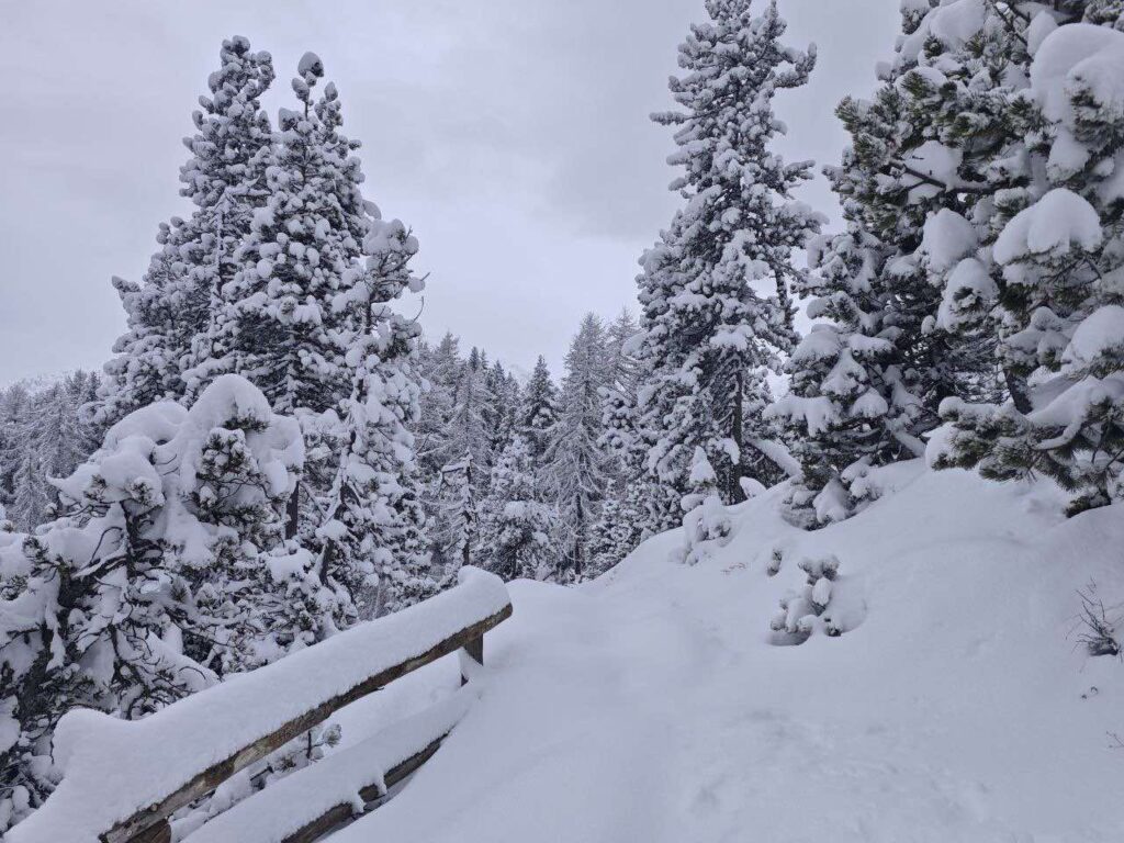 neve piemonte