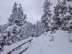neve piemonte