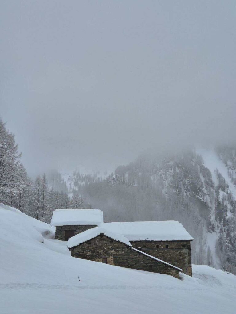 neve piemonte