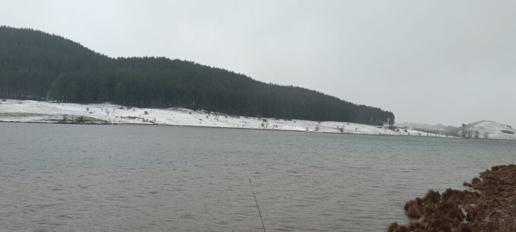 neve sila