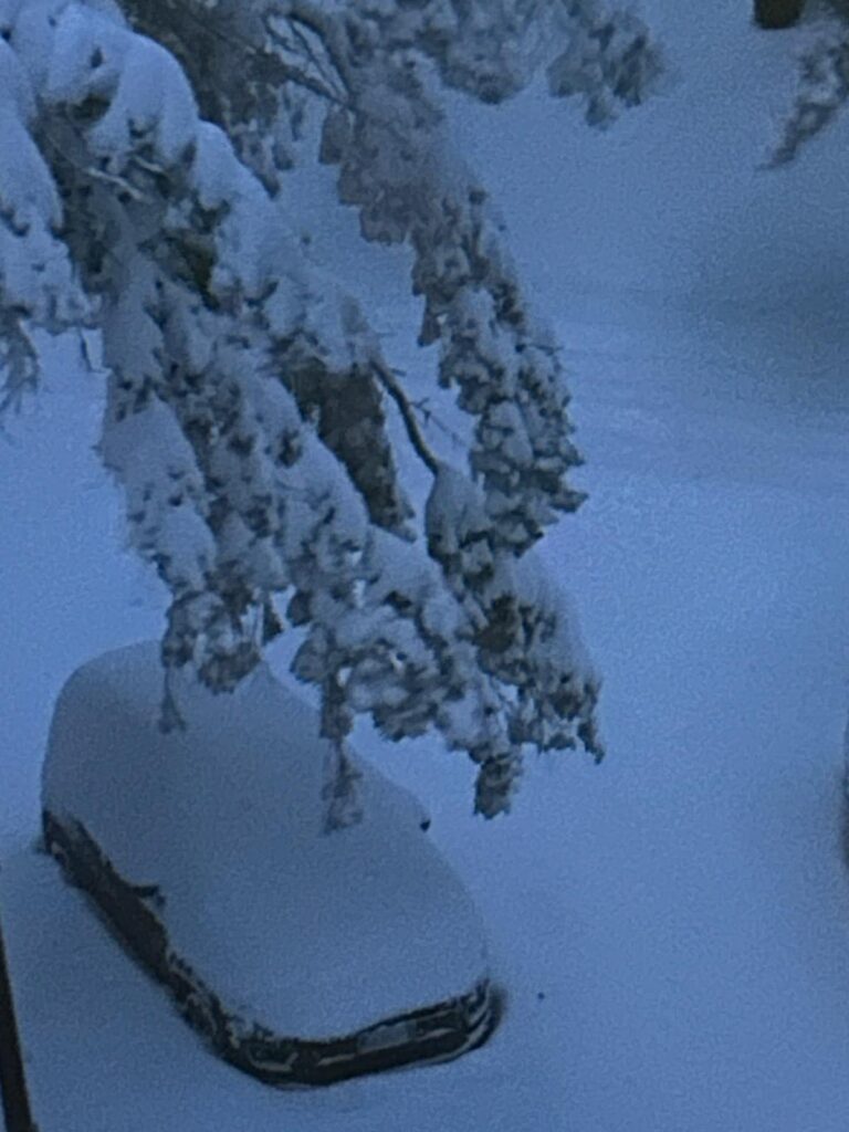 neve sila