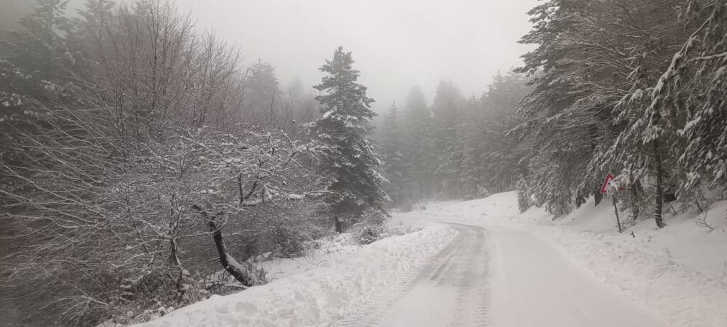 neve sila 20 gennaio 2026