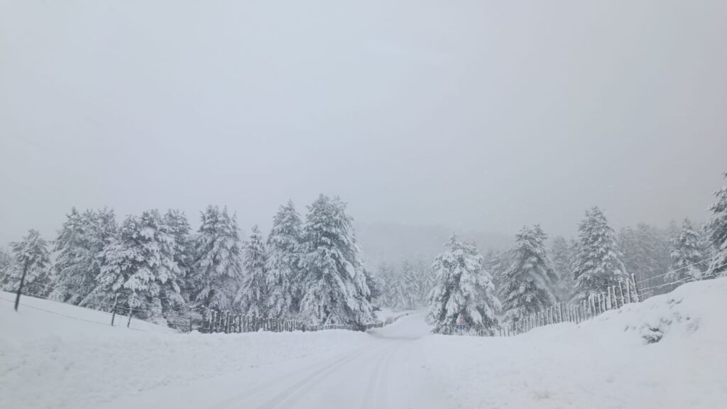 neve sila 21 gennaio 2026