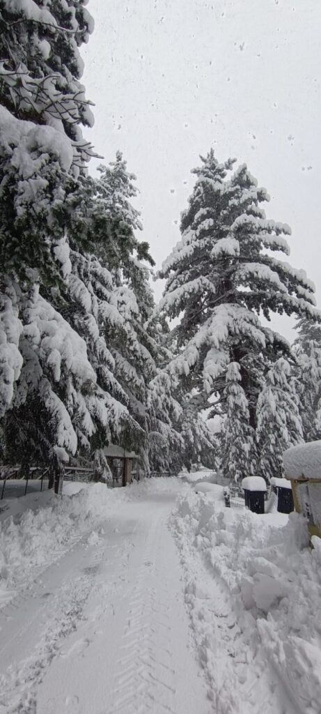 neve sila 21 gennaio 2026