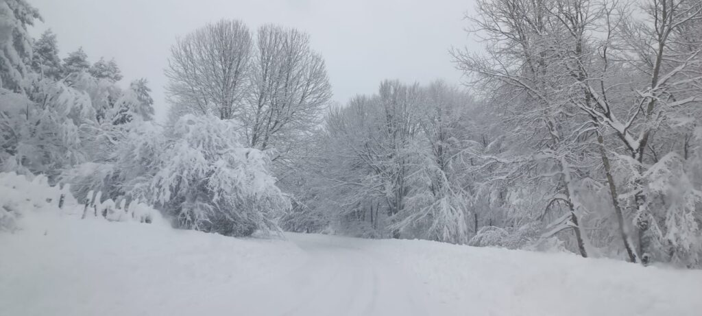 neve sila 21 gennaio 2026