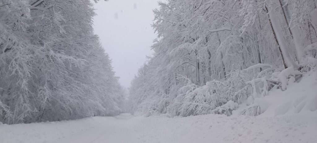neve sila 21 gennaio 2026