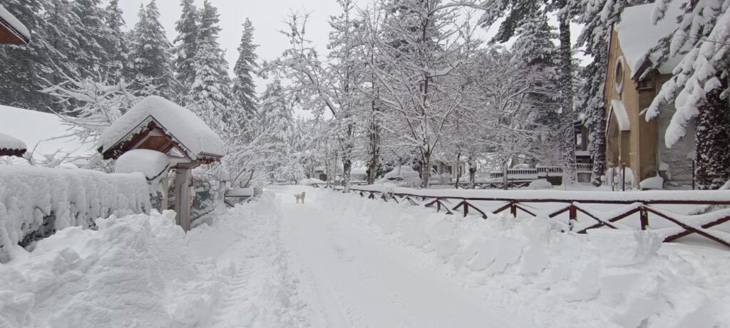 neve sila 21 gennaio 2026