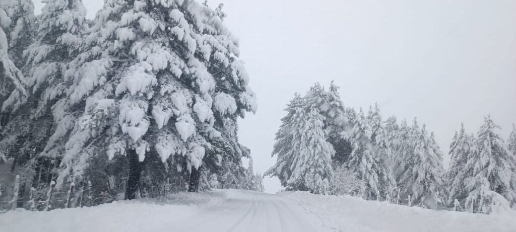neve sila 21 gennaio 2026