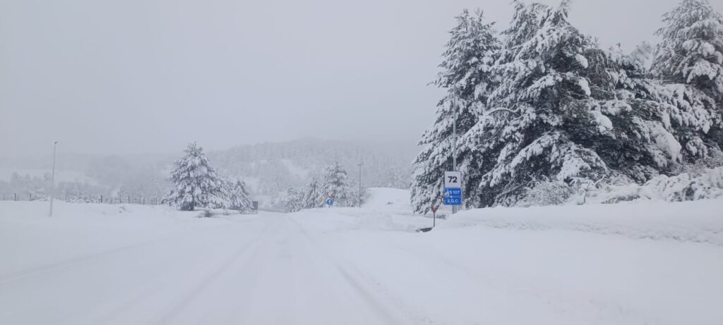 neve sila 21 gennaio 2026