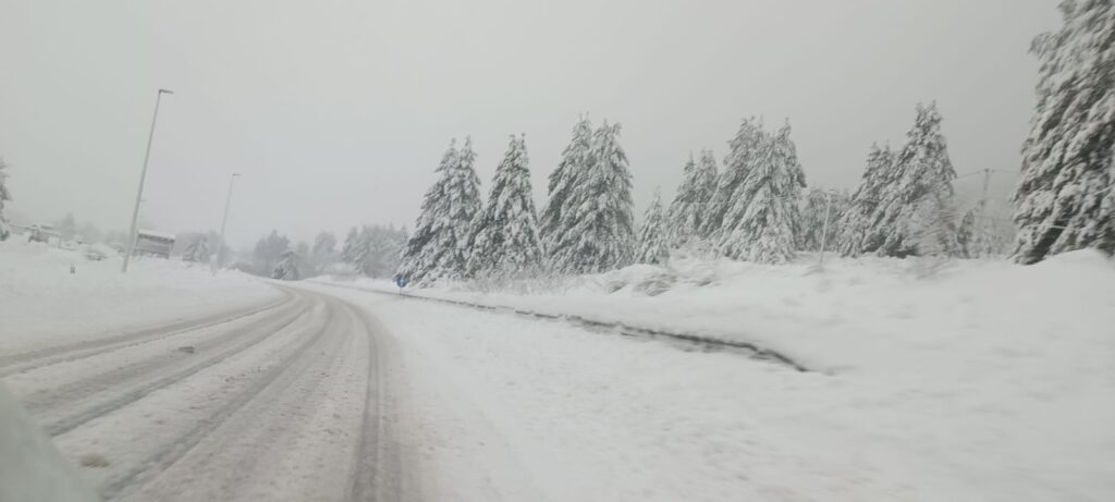 neve sila 21 gennaio 2026