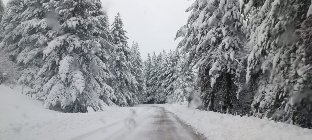 neve sila 21 gennaio 2026