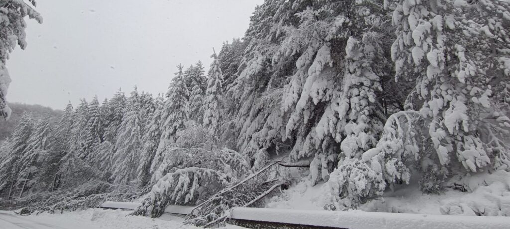 neve sila 21 gennaio 2026