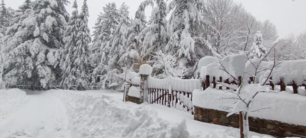 neve sila 21 gennaio 2026