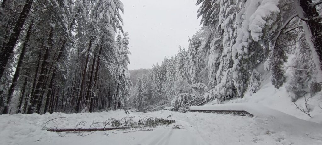 neve sila 21 gennaio 2026