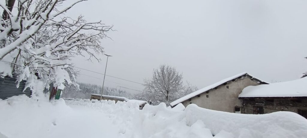 neve sila 21 gennaio 2026