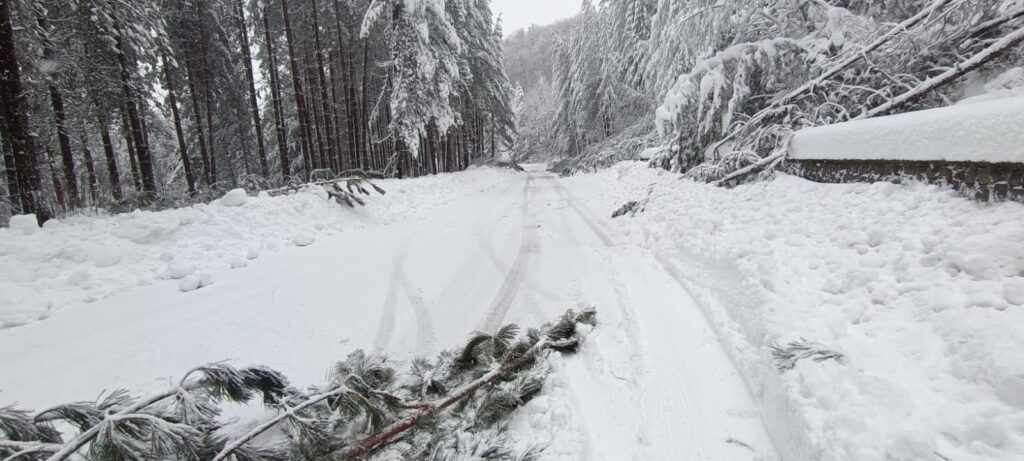 neve sila 21 gennaio 2026