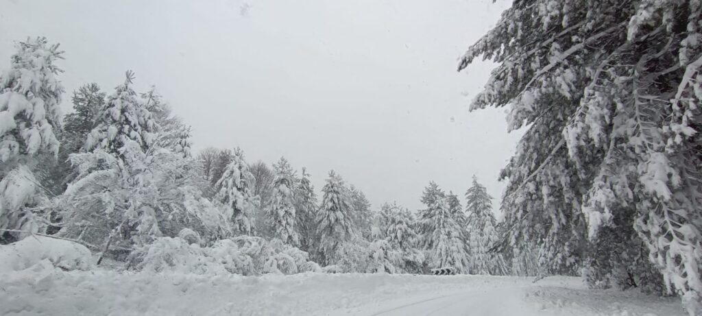 neve sila 21 gennaio 2026