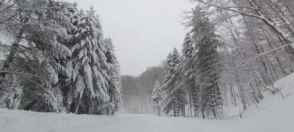 neve sila 21 gennaio 2026