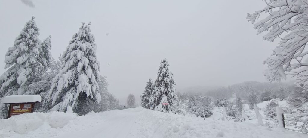 neve sila 21 gennaio 2026