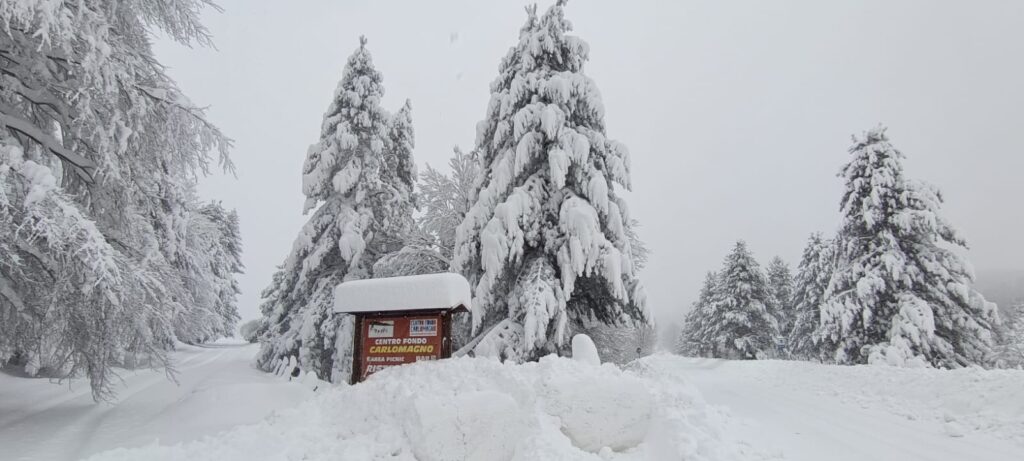 neve sila 21 gennaio 2026