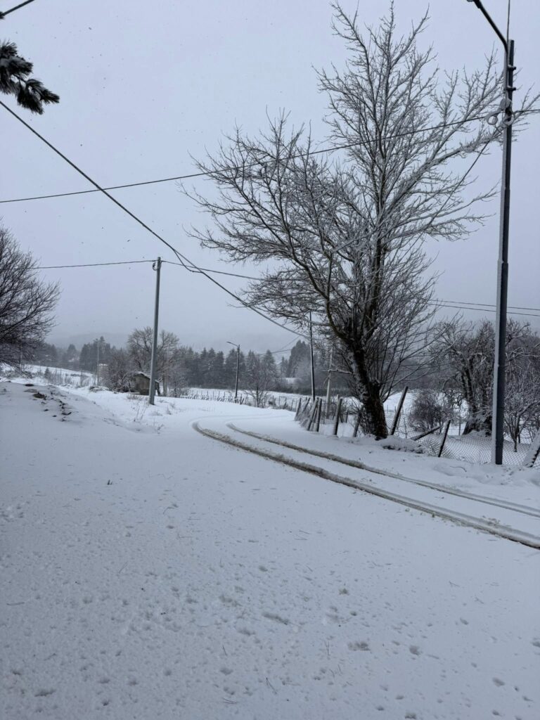 neve sila