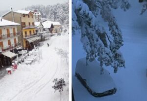 neve sila