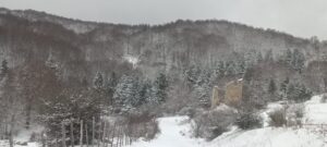neve sila 8 gennaio 2026