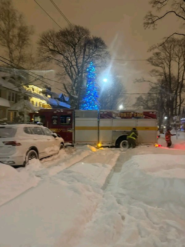 neve toronto
