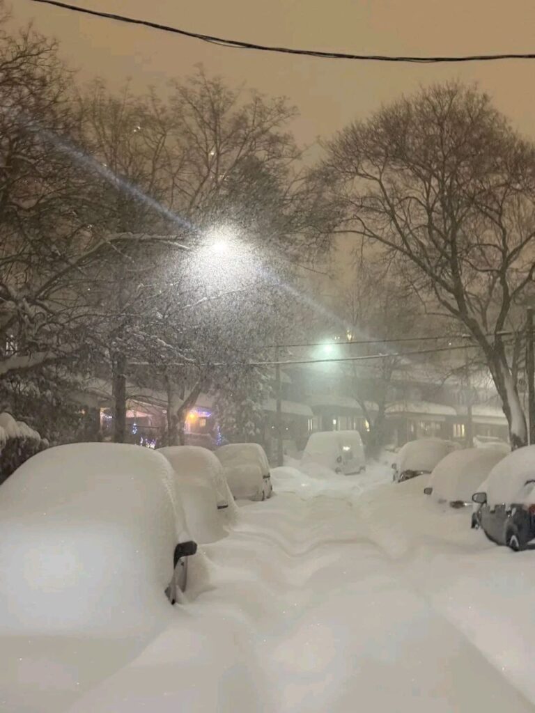 neve toronto