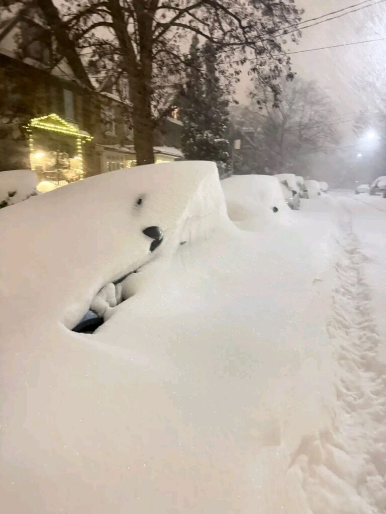 neve toronto