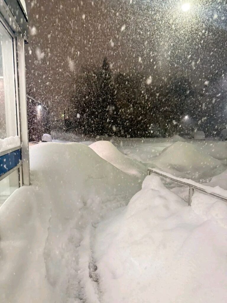 neve toronto
