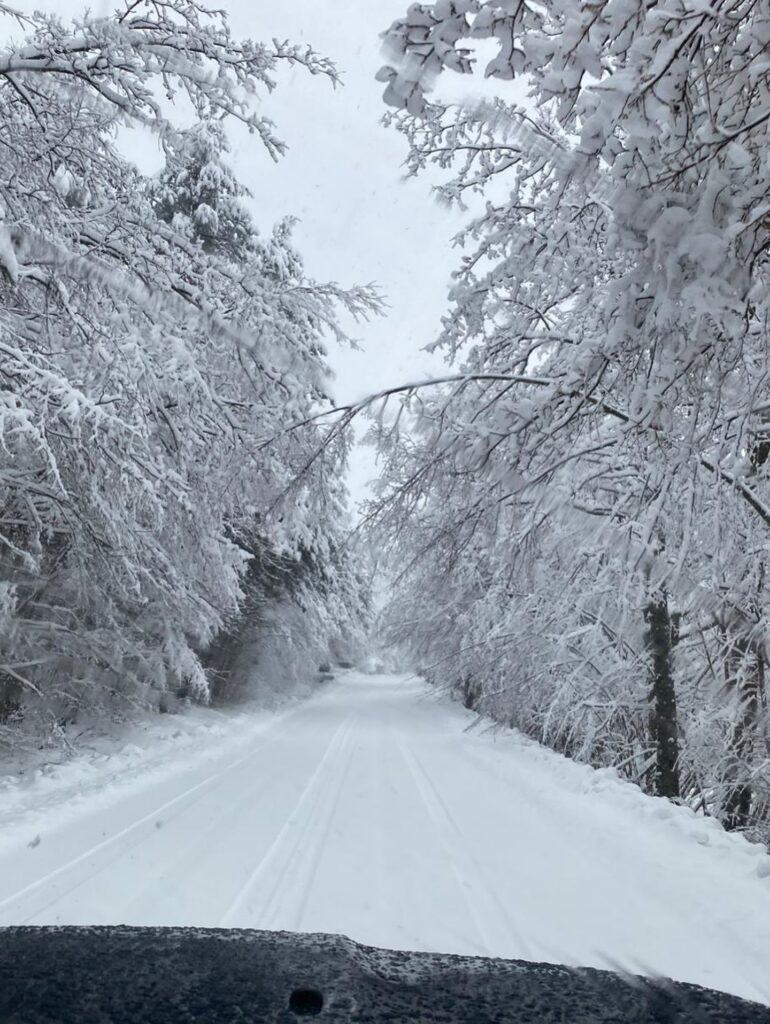 neve toscana