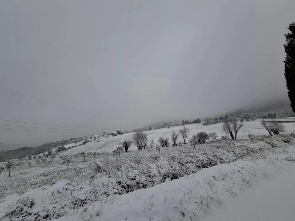neve toscana
