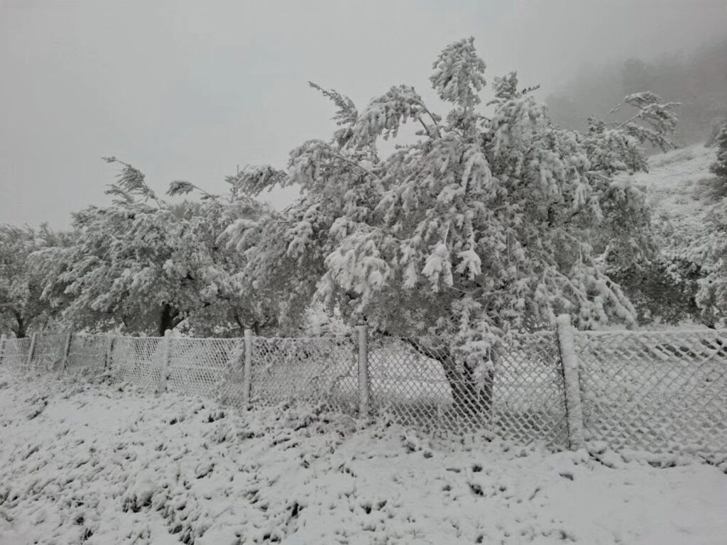 neve toscana