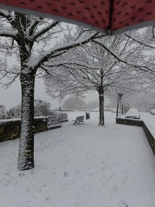 neve toscana