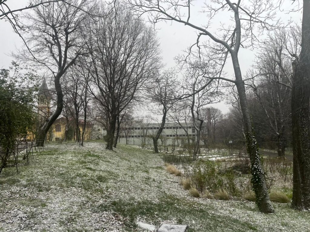 neve trieste