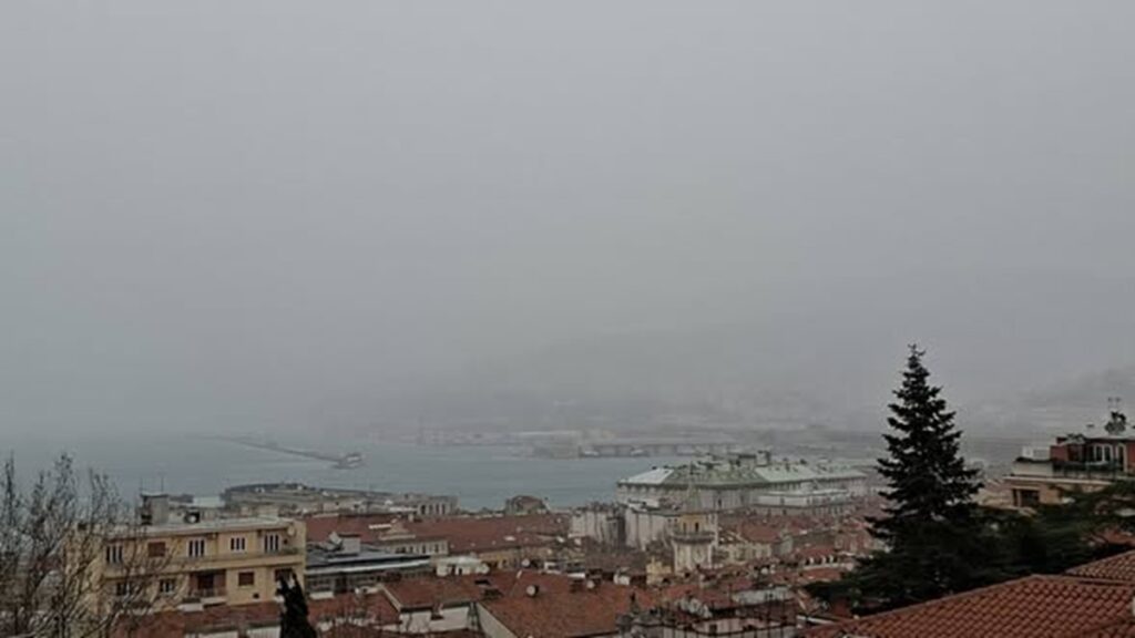 neve trieste